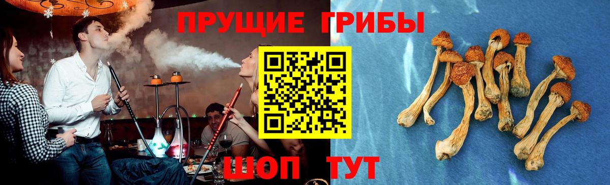Иваново  Псилоцибиновые грибы GOLDEN TEACHER  Галлюциногенные грибы Magic Shrooms  как найти наркотики  Вход с VPN 